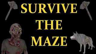 The Maze