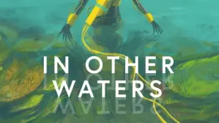 In Other Waters - Switch