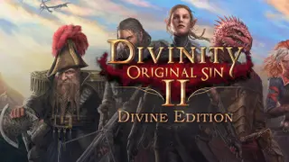 Divinity: Original Sin 2 - Divine