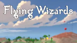 Flying Wizards