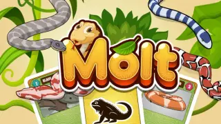 Molt