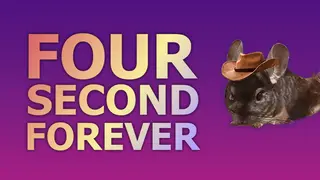 Four Second Forever