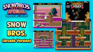 SNOW BROS. (ARCADE VERSION) - Switch