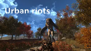 Urban riots