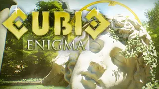 Cubic Enigma