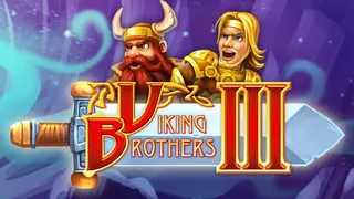Viking Brothers 3