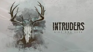 Intruders: Hide and Seek - Switch