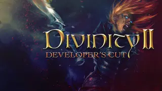 Divinity 2: Developer's Cut