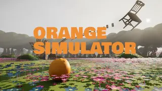 Orange Simulator