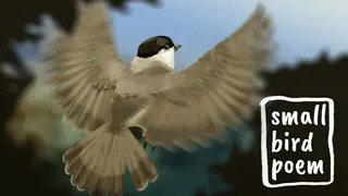 small bird poem