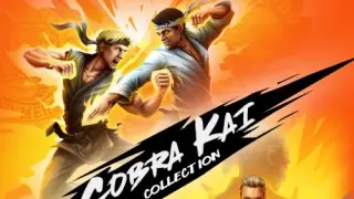 Cobra Kai Collection - Switch