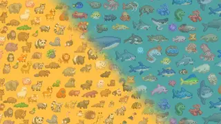 Let's Build a Zoo and Aquarium Odyssey DLC Bundle (PS4 & PS5)