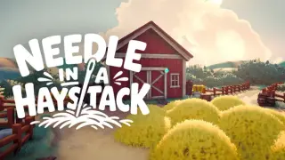 Needle in a Haystack