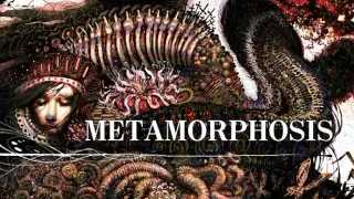 METAMORPHOSIS