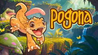 Pogona