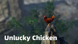 Unlucky Chicken