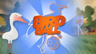 BIRD BALL