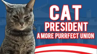 Cat President ~A More Purrfect Union~