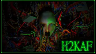 how to kill a fly [ H2KAF ]