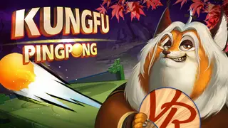 Kung Fu Ping Pong