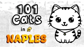 101 Cats in Naples