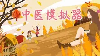 Traditional Chinese Medicine Simulator