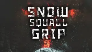 Snow Squall Grip - Switch