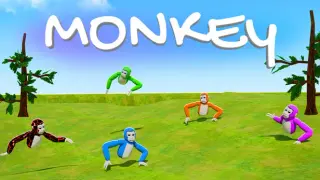 Monkey