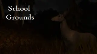 School Grounds