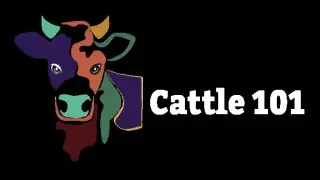 Cattle 101 - Sample Library