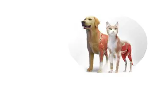 Animal Anatomy VR - PS5