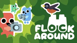 Flock Around