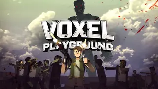 Voxel Playground