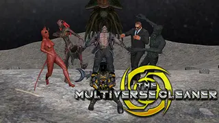 The Multiverse Cleaner