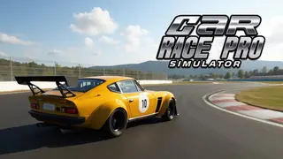 Car Race Pro Simulator