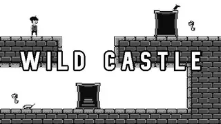 Wild Castle
