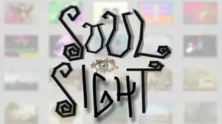Soul Sight