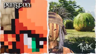 Pangeon + Tribe