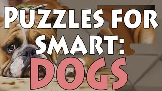 Puzzles for smart: Dogs