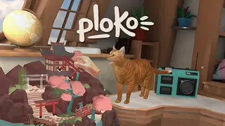 Ploko