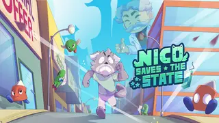 Nico Saves The State