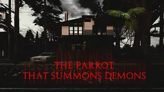 The Parrot That Summons Demons