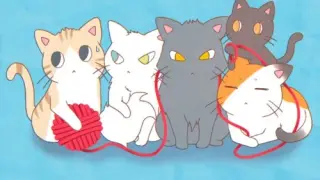 Hex Cats - Switch