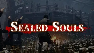 Sealed Souls