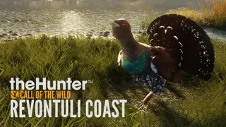 theHunter: Call of the Wild - Revontuli Coast