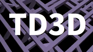 TD3D