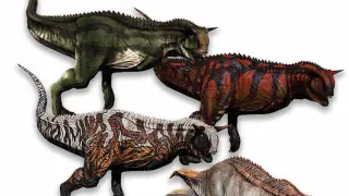Carno Pack 03 - PS4