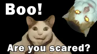 BOO! ARE YOU SCARED?
