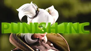 PUNISH INC