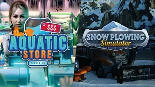 Snow Plowing in Aquatic Store
